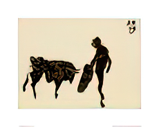 Toros y Toreros