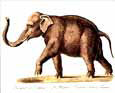 Elephant, Left Panel