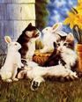 Kittens & Creatures II