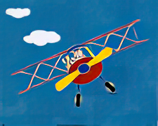 Cat in a Plane II