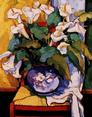 Summer Calla Lilies