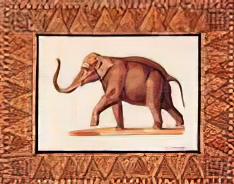 Animal Collage IV