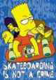 Skateboarding is Not a Crime - Bart