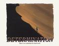 Determination
