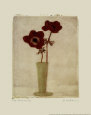 Red Anemones II