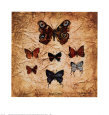 Papillons II