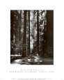 Redwoods, Founders Grove