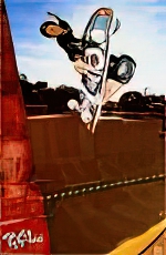 Tony Hawk