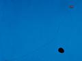 Blue III