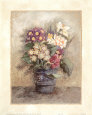 Auriculas II