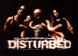 Disturbed