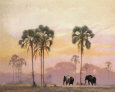 Elephants with Palms