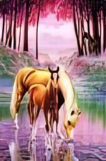 Forest Harmony