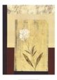 Floral Impressions I