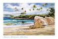 Trade Winds
