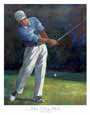 The Chip Shot