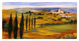 Hills of Tuscany