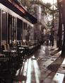 Boulevard in Morning