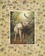 Safari, Elephant
