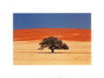Namibia