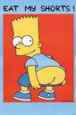 Bart Simpson - Eat My Shorts
