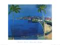 Baie des Anges
