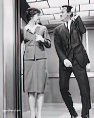 The Apartment