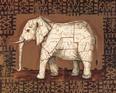 African Elephant Animals Elephants