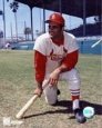 Joe Torre
