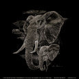 Touch of Security Animals Elephants