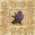 Hydrangea Scroll