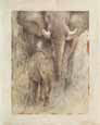 Motherly Love I Animals Elephants
