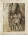 Motherly Love II Animals Elephants