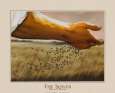 The Sower
