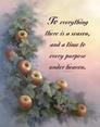 Apples & Grapes with Verse