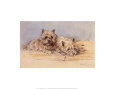Close Companions