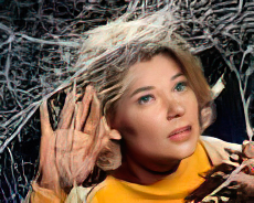 Hope Lange