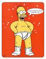 The Simpsons - Homer on Homer