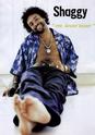 Shaggy - Mr. Lover Lover