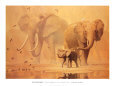 African Elephants and Namaqua Doves