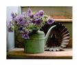 Cranesbill