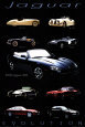 Jaguar Evolution