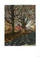 Fall Road