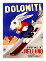 Dolomiti