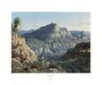 Big Bend
