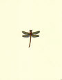 Miniature Dragonfly II