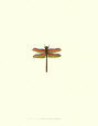 Miniature Dragonfly III