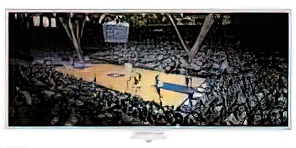 Cameron Crazy - `The Best Team in the Country`, 2004