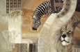 African Colors Animals Elephants