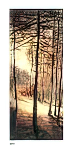 Autumn Forest 1